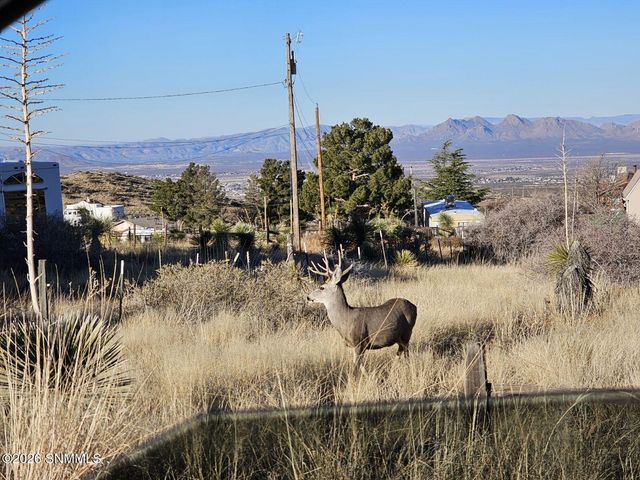 17610 Tierra Alta Drive, Las Cruces, NM 88011