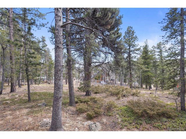 163 N Dory Lakes Dr, Black Hawk, CO 80422