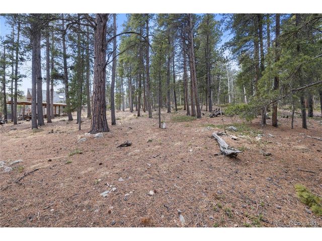 163 N Dory Lakes Dr, Black Hawk, CO 80422
