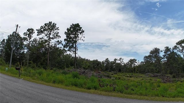 XX SW BEGONIA COURT, Dunnellon, FL 34431