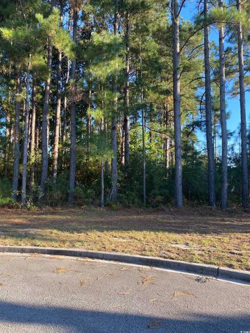 114 Finnegan Ct., Myrtle Beach, SC 29579