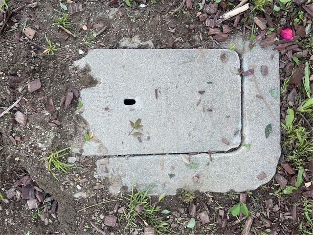 9546 B Live Oak, Temple City, CA 91780