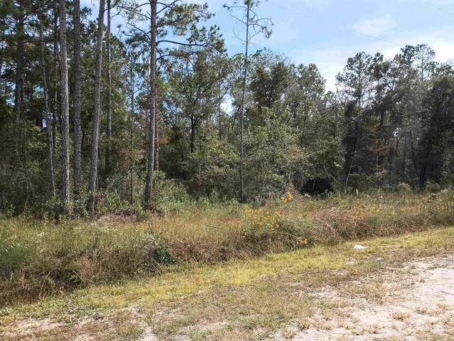 10440 Flikkema Ave, Hastings, FL 32145