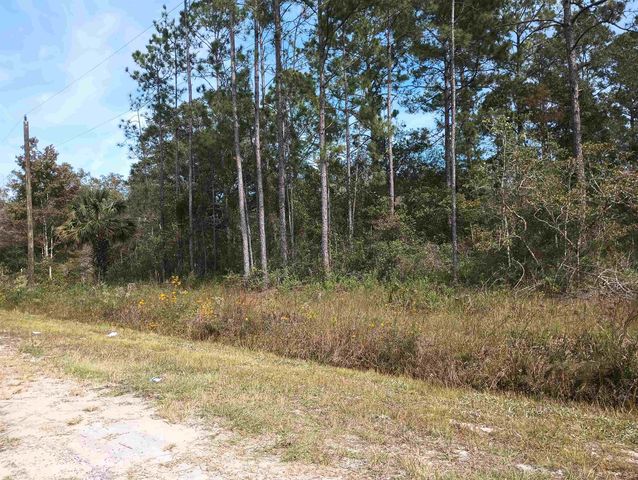 10440 Flikkema Ave, Hastings, FL 32145