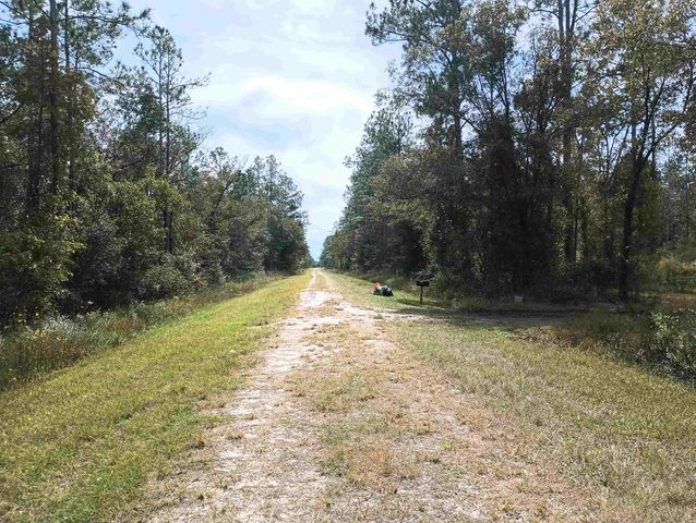 10440 Flikkema Ave, Hastings, FL 32145