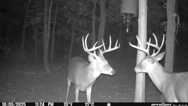 4787 CR 106, Whitesboro, TX 76273