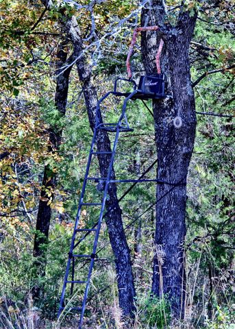 4787 CR 106, Whitesboro, TX 76273