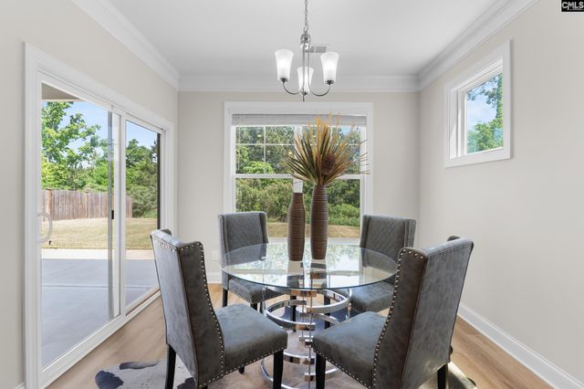 713 Chatham Court, Chapin, SC 29036