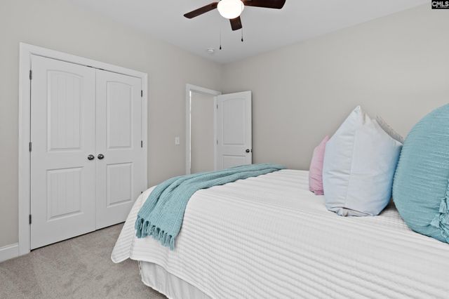 713 Chatham Court, Chapin, SC 29036