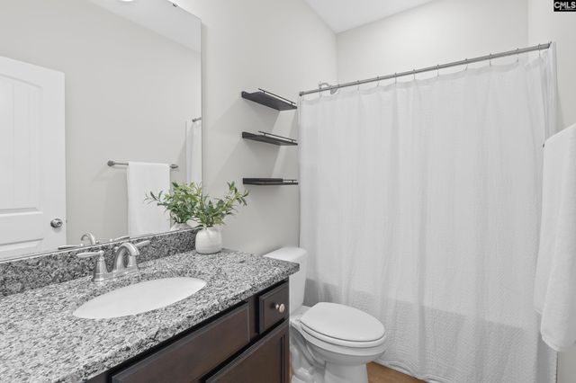 713 Chatham Court, Chapin, SC 29036