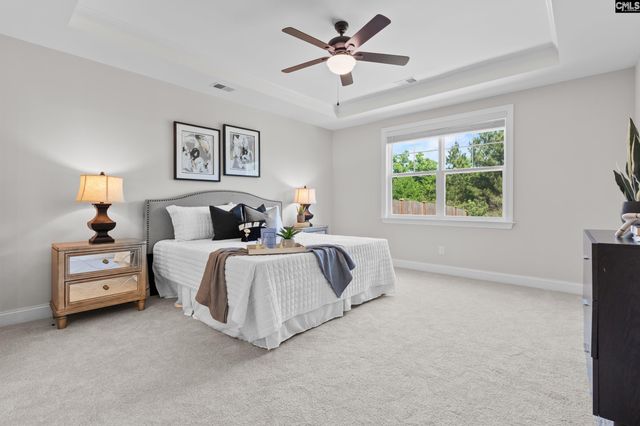 713 Chatham Court, Chapin, SC 29036
