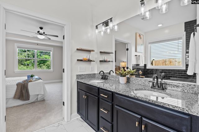 713 Chatham Court, Chapin, SC 29036