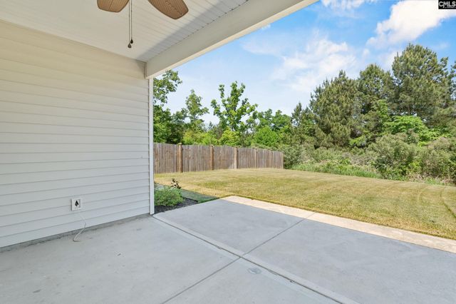 713 Chatham Court, Chapin, SC 29036
