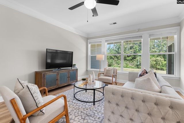 713 Chatham Court, Chapin, SC 29036