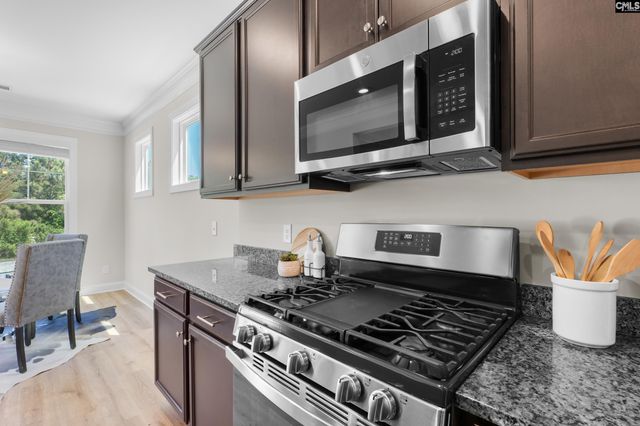 713 Chatham Court, Chapin, SC 29036