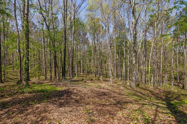 37 Azalea Drive, Ringgold, GA 30736