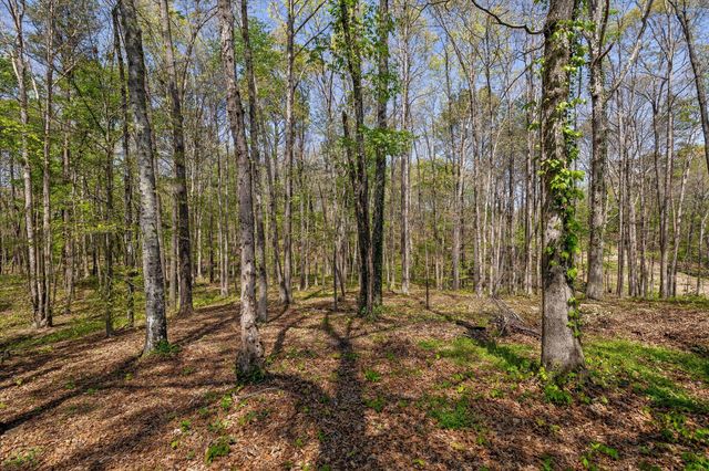 37 Azalea Drive, Ringgold, GA 30736