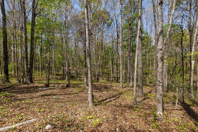 37 Azalea Drive, Ringgold, GA 30736