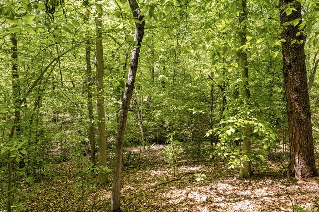 43 ADRIAN WAY, Fredericksburg, VA 22405