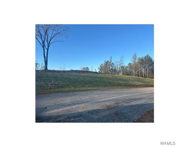 01 Cedar Ridge, Northport, AL 35475