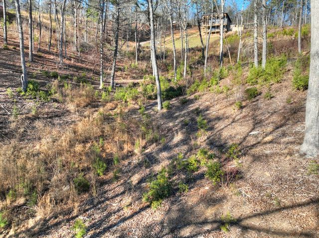 lot 16 Mountain Laurel Ridge, Mineral Bluff, GA 30559