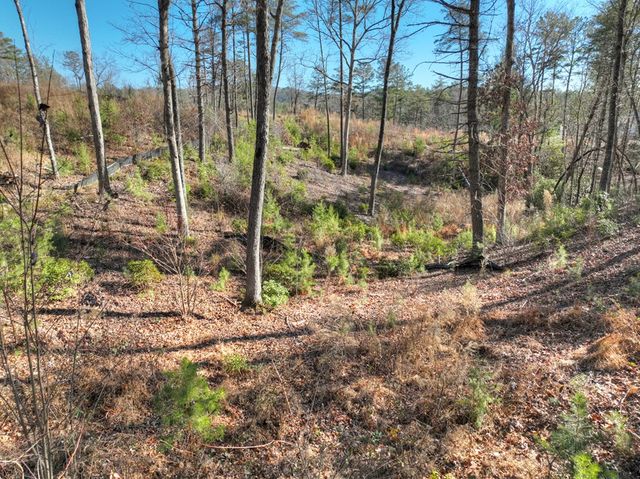 lot 16 Mountain Laurel Ridge, Mineral Bluff, GA 30559