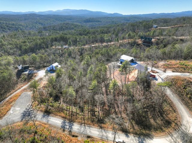 lot 16 Mountain Laurel Ridge, Mineral Bluff, GA 30559