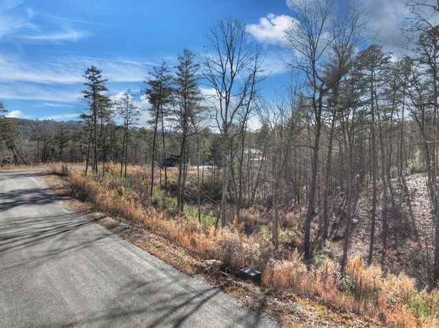 lot 16 Mountain Laurel Ridge, Mineral Bluff, GA 30559