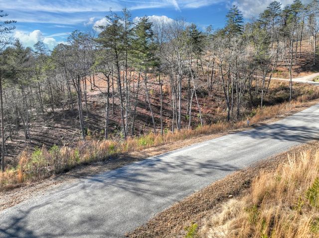 lot 16 Mountain Laurel Ridge, Mineral Bluff, GA 30559