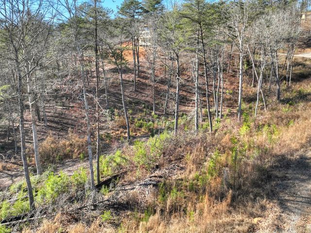 lot 16 Mountain Laurel Ridge, Mineral Bluff, GA 30559