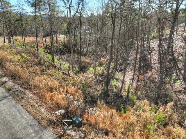 lot 16 Mountain Laurel Ridge, Mineral Bluff, GA 30559