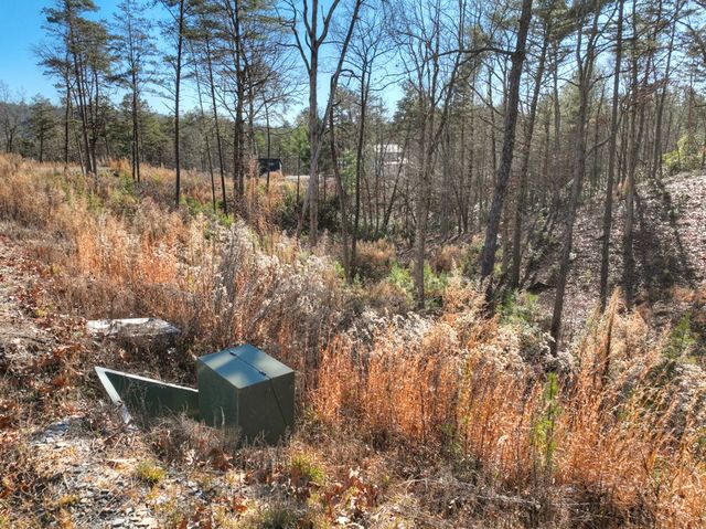 lot 16 Mountain Laurel Ridge, Mineral Bluff, GA 30559