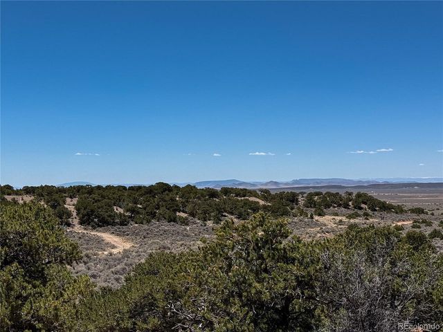 1058 Hotchkiss Rd, Fort Garland, CO 81133