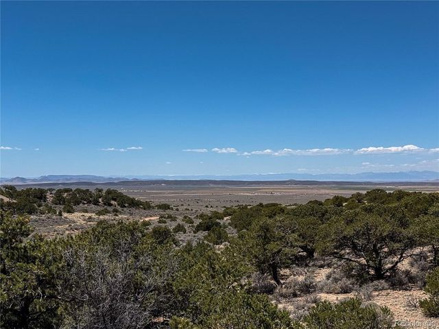 1058 Hotchkiss Rd, Fort Garland, CO 81133