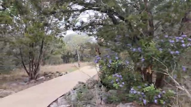 2744 Reunion BLVD, Austin, TX 78737
