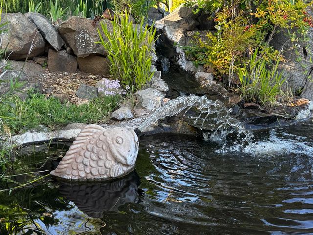 15301-15303 Indian Springs Rd, Penn Valley, CA 95946