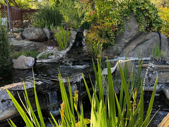 15301-15303 Indian Springs Rd, Penn Valley, CA 95946