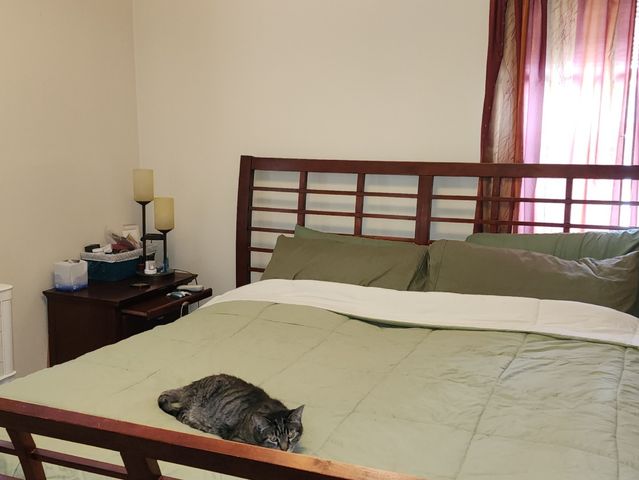 531 Redwood Road, Bolingbrook, IL 60440