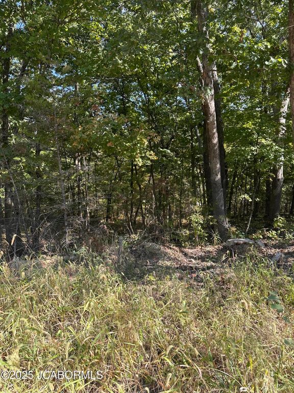 LOT 29 STERLING RIDGE, Holts Summit, MO 65043