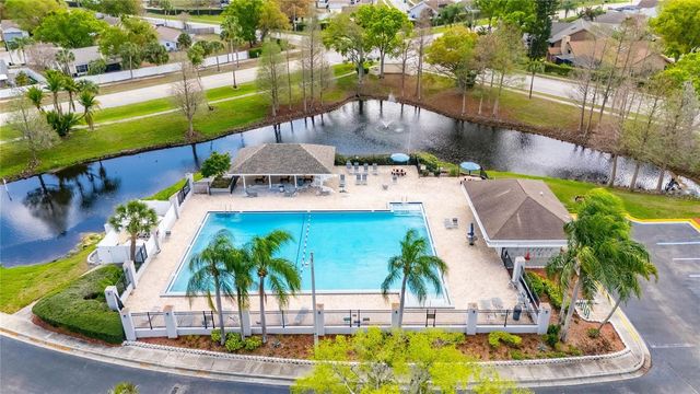 11207 VILLAGE BROOK DRIVE, Riverview, FL 33579
