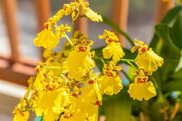 160 1ST STREET E, Boca Grande, FL 33921