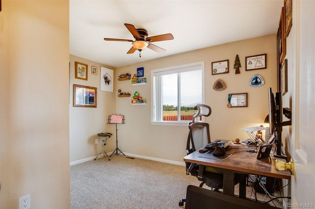 119 Bristlecone Lane, Fairplay, CO 80440