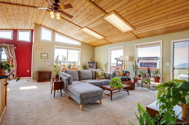 119 Bristlecone Lane, Fairplay, CO 80440