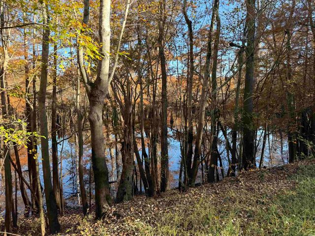 2879 Waccamaw Cove, Longs, SC 29568