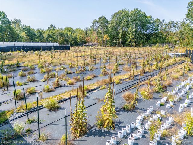 5852 Nw County Line Road, Beaverton Township, MI 48618