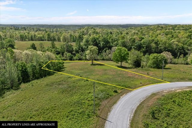 0 Blackhawk Ct, Waverly, TN 37185