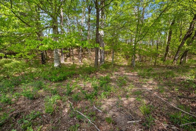 0 Blackhawk Ct, Waverly, TN 37185