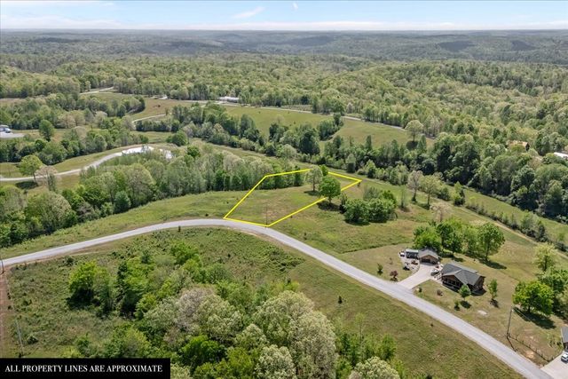 0 Blackhawk Ct, Waverly, TN 37185