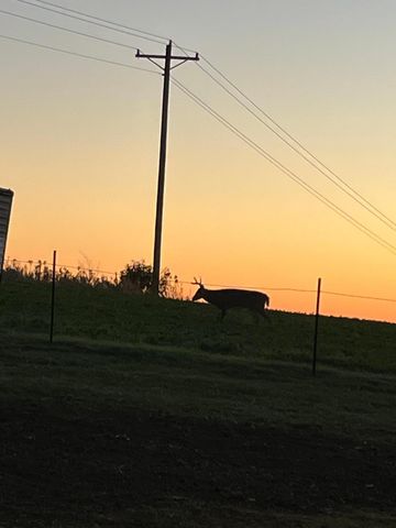 12520 440th Street, Wanamingo, MN 55983