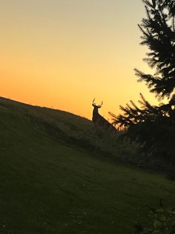 12520 440th Street, Wanamingo, MN 55983